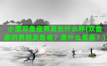 小度双鱼座男友长什么样(双鱼座的男朋友是谁？是什么星座？)