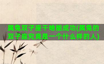 属兔双子座干啥能成功(属兔的双子座究竟是一个什么样的人)