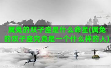属兔的双子座是什么命星(属兔的双子座究竟是一个什么样的人)