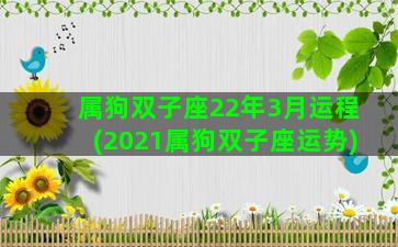 属狗双子座22年3月运程(2021属狗双子座运势)