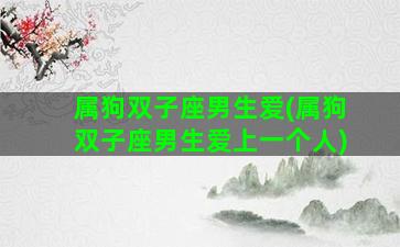 属狗双子座男生爱(属狗双子座男生爱上一个人)