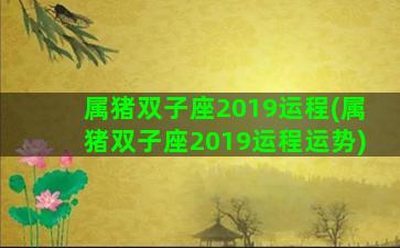 属猪双子座2019运程(属猪双子座2019运程运势)
