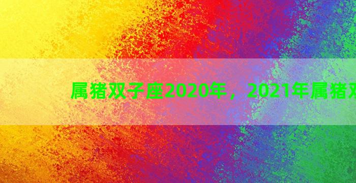属猪双子座2020年，2021年属猪双子座