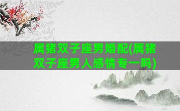 属猪双子座男婚配(属猪双子座男人感情专一吗)