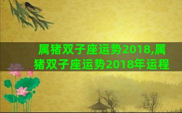 属猪双子座运势2018,属猪双子座运势2018年运程