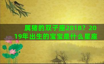 属猪的双子座2018？2019年出生的宝宝是什么星座