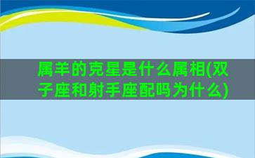 属羊的克星是什么属相(双子座和射手座配吗为什么)
