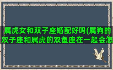 属虎女和双子座婚配好吗(属狗的双子座和属虎的双鱼座在一起会怎么样)