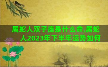 属蛇人双子座是什么命,属蛇人2023年下半年运势如何 属蛇人双子座是什么命,属蛇人2023年下半年运势如何