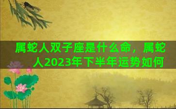 属蛇人双子座是什么命，属蛇人2023年下半年运势如何