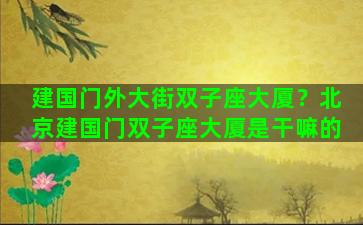 建国门外大街双子座大厦？北京建国门双子座大厦是干嘛的