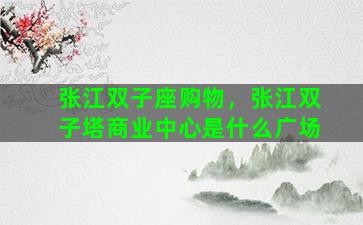 张江双子座购物，张江双子塔商业中心是什么广场