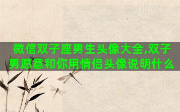 微信双子座男生头像大全,双子男愿意和你用情侣头像说明什么 微信双子座男生头像大全,双子男愿意和你用情侣头像说明什么