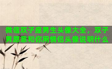 微信双子座男生头像大全，双子男愿意和你用情侣头像说明什么