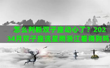 怎么判断双子座动心了？20234月双子座流星雨浙江看得到吗