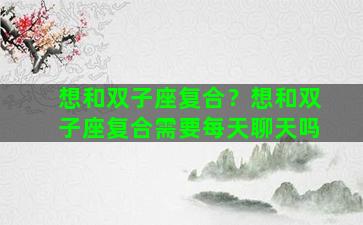 想和双子座复合？想和双子座复合需要每天聊天吗