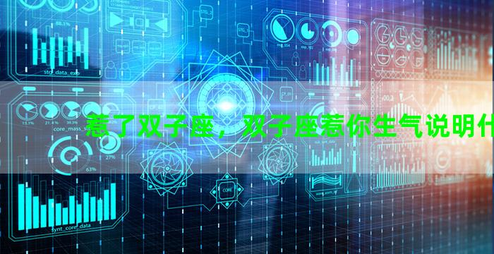 惹了双子座，双子座惹你生气说明什么