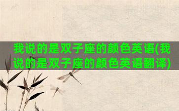 我说的是双子座的颜色英语(我说的是双子座的颜色英语翻译)