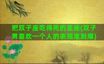 把双子座吃得死的星座(双子男喜欢一个人的表现准到爆)