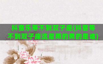 抖音乐等不到双子座(抖音等不到双子座流星雨的男的是谁)