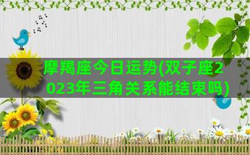 摩羯座今日运势(双子座2023年三角关系能结束吗)