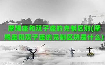 摩羯座和双子座的克制区别(摩羯座和双子座的克制区别是什么)