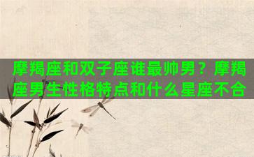 摩羯座和双子座谁最帅男？摩羯座男生性格特点和什么星座不合