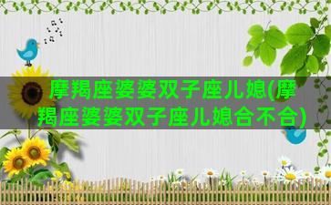 摩羯座婆婆双子座儿媳(摩羯座婆婆双子座儿媳合不合)