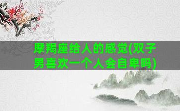 摩羯座给人的感觉(双子男喜欢一个人会自卑吗)