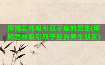 摩羯怎样吸引双子座的男生(摩羯怎样吸引双子座的男生朋友)