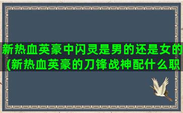新热血英豪中闪灵是男的还是女的(新热血英豪的刀锋战神配什么职业好)