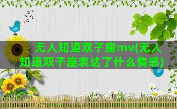 无人知道双子座mv(无人知道双子座表达了什么情感)