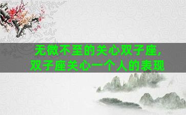 无微不至的关心双子座,双子座关心一个人的表现