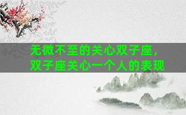 无微不至的关心双子座，双子座关心一个人的表现