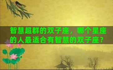 智慧超群的双子座，哪个星座的人最适合有智慧的双子座？