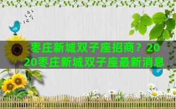 枣庄新城双子座招商？2020枣庄新城双子座最新消息