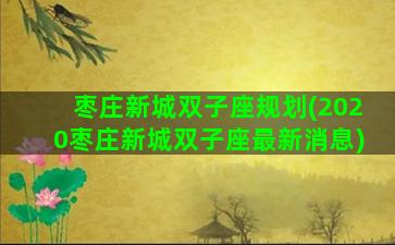 枣庄新城双子座规划(2020枣庄新城双子座最新消息)