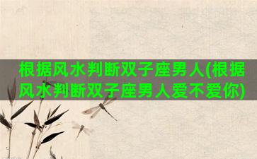 根据风水判断双子座男人(根据风水判断双子座男人爱不爱你)