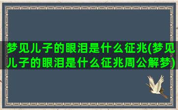 梦见儿子的眼泪是什么征兆(梦见儿子的眼泪是什么征兆周公解梦)