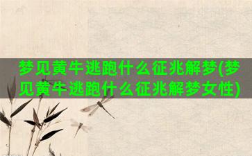 梦见黄牛逃跑什么征兆解梦(梦见黄牛逃跑什么征兆解梦女性)