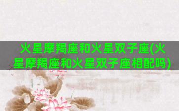 火星摩羯座和火星双子座(火星摩羯座和火星双子座相配吗)