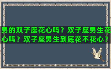 男的双子座花心吗？双子座男生花心吗？双子座男生到底花不花心？