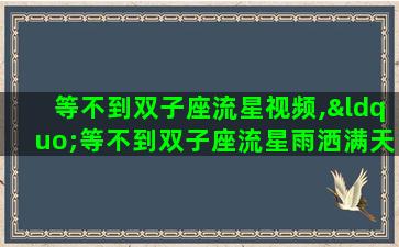 等不到双子座流星视频,“等不到双子座流星雨洒满天际”