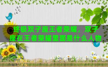 终极双子座王者荣耀，双子座在王者荣耀里面是什么人物