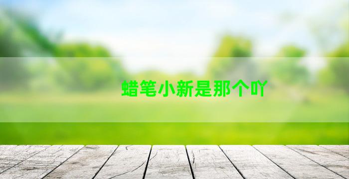 蜡笔小新是那个吖