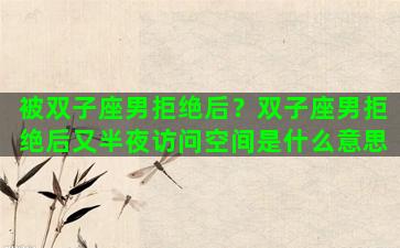 被双子座男拒绝后？双子座男拒绝后又半夜访问空间是什么意思