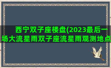 西宁双子座楼盘(2023最后一场大流星雨双子座流星雨观测地点)