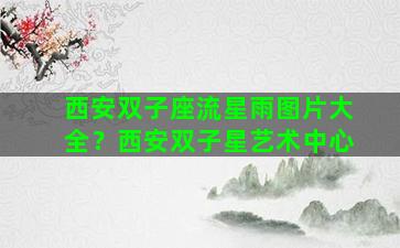 西安双子座流星雨图片大全？西安双子星艺术中心