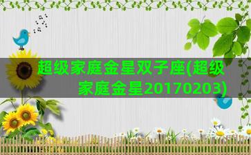超级家庭金星双子座(超级家庭金星20170203)