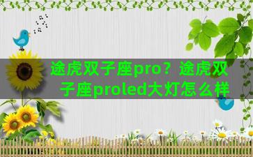 途虎双子座pro？途虎双子座proled大灯怎么样